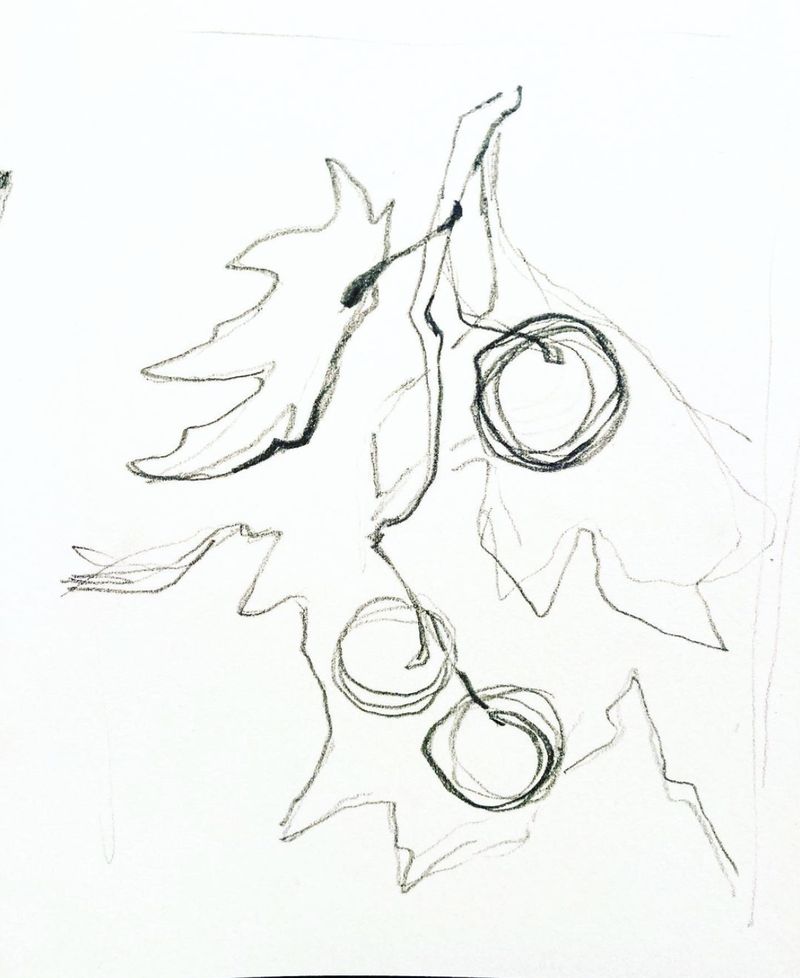 Loose ink sketch of leaves with circular seed forms
