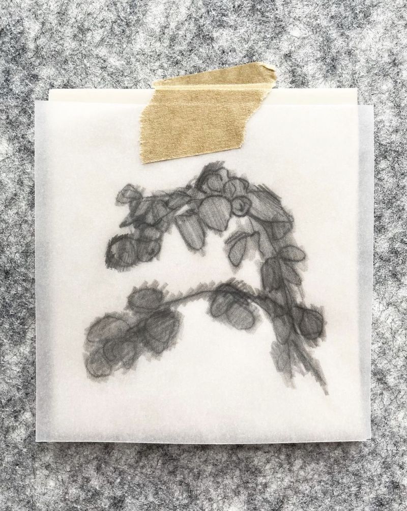Monoprint of a trailing leafy branch in grey on translucent paper